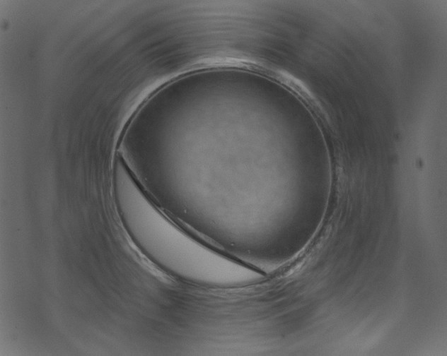 X0000074341236200608251343