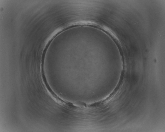 X0000074341237200608251343