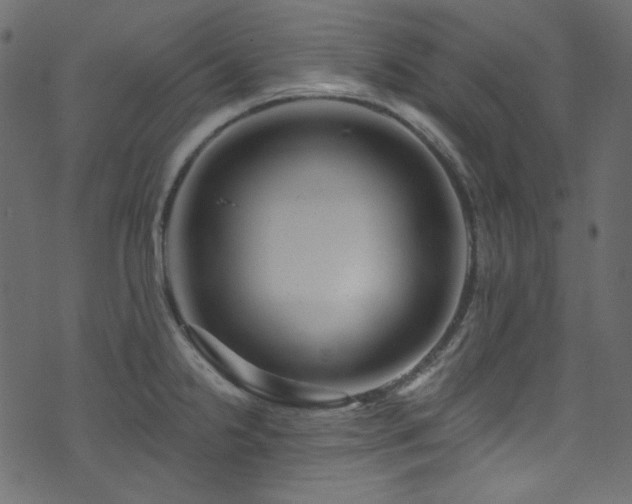 X0000074341238200608251343