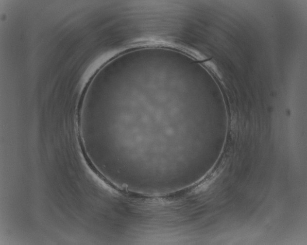 X0000074341239200608251343