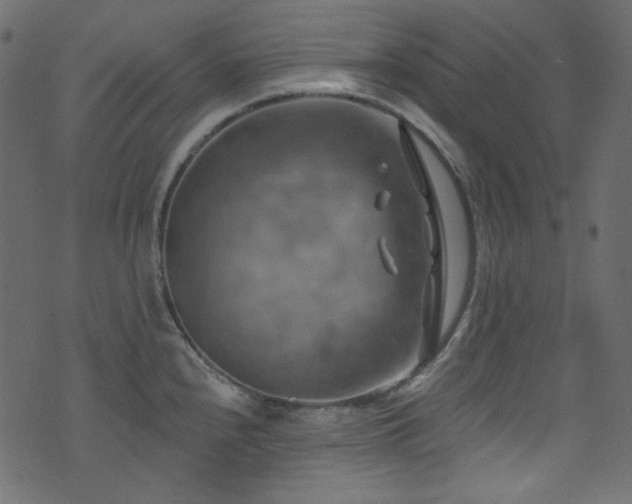 X0000074341240200608251343