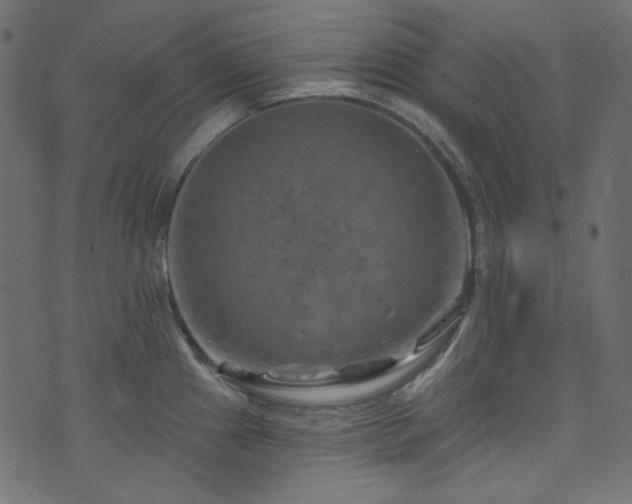 X0000074341241200608251343