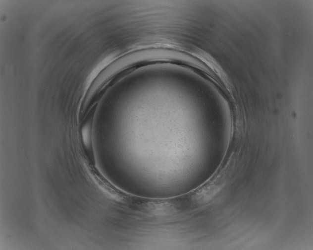 X0000074341242200608251343