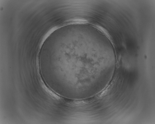 X0000074341243200608251343