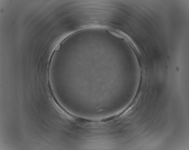 X0000074341244200608251343