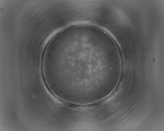 X0000074341245200608251343