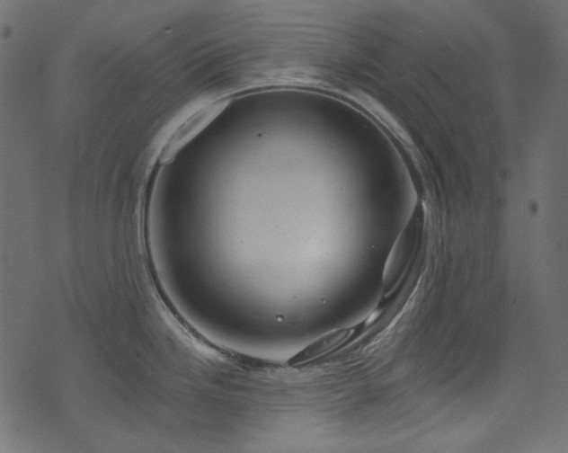 X0000074341246200608251343