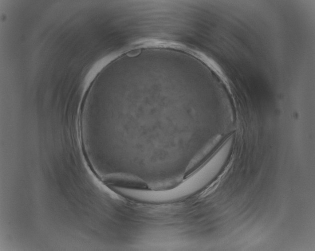 X0000074341247200608251343