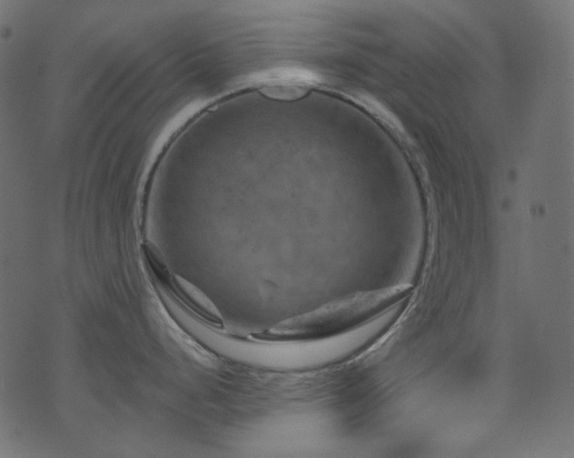 X0000074341248200608251343