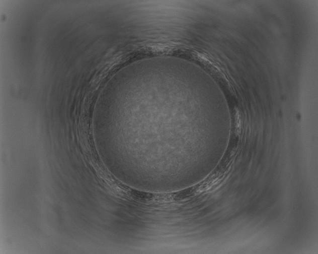 X0000074341249200608251342