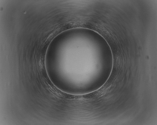 X0000074341250200608251342