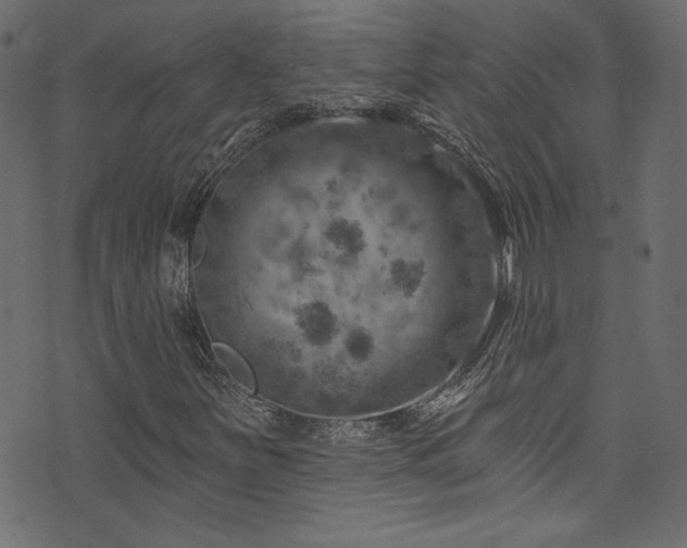 X0000074341251200608251342