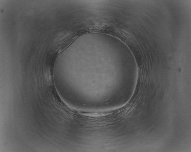 X0000074341252200608251342