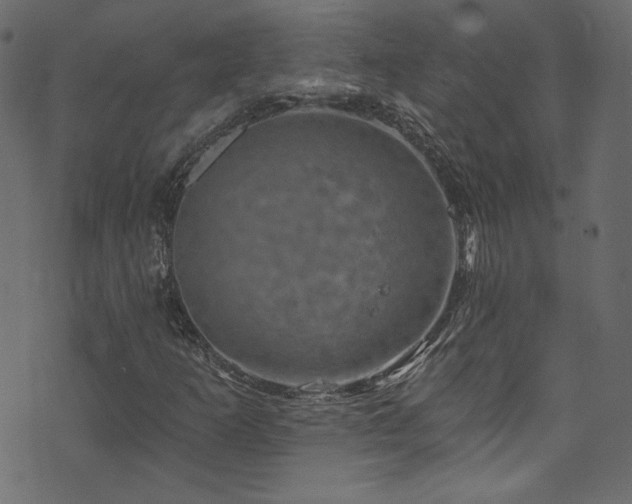 X0000074341253200608251342