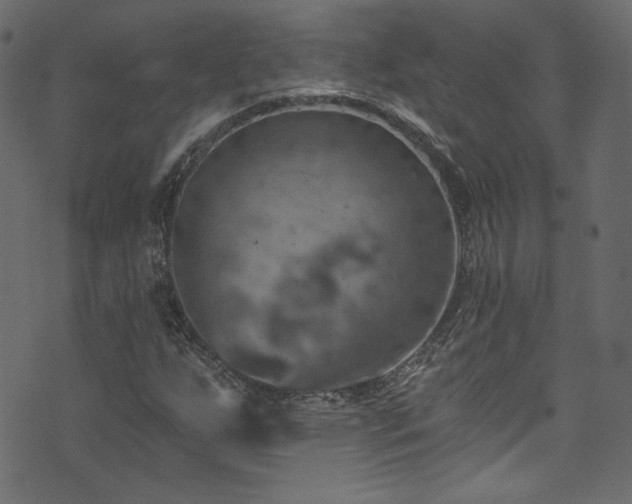 X0000074341255200608251342