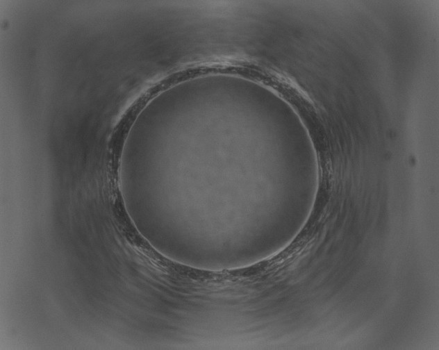 X0000074341256200608251342