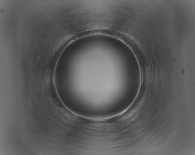 X0000074341257200608251342