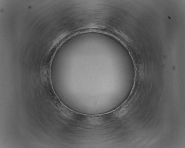 X0000074341258200608251342