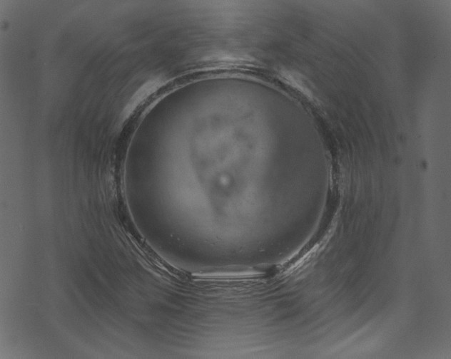 X0000074341259200608251342