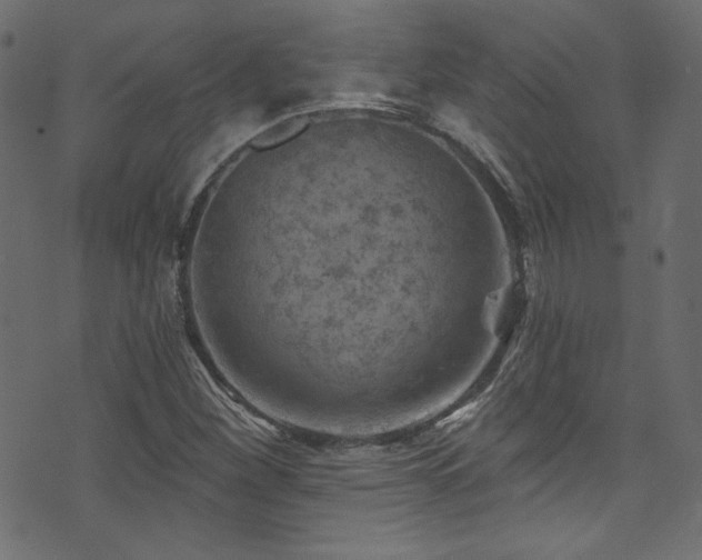 X0000074341260200608251342