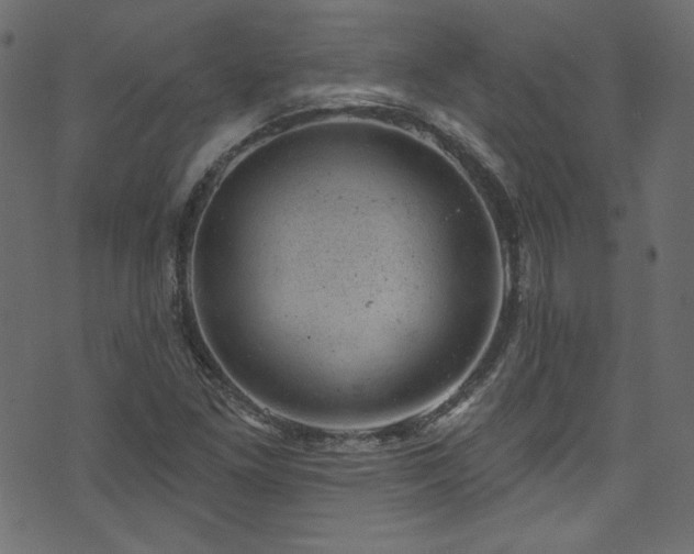 X0000074341261200608251342