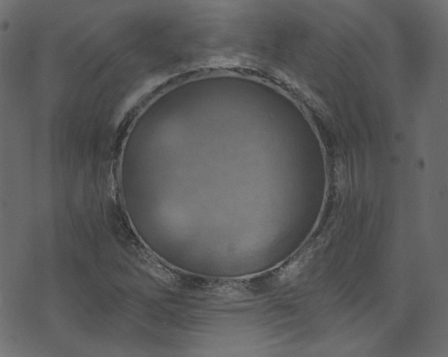 X0000074341262200608251342