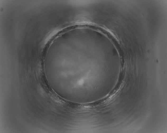 X0000074341263200608251342