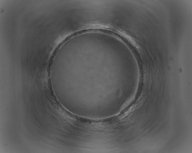 X0000074341264200608251342