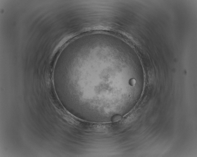 X0000074341266200608251342