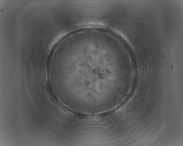 X0000074341267200608251342