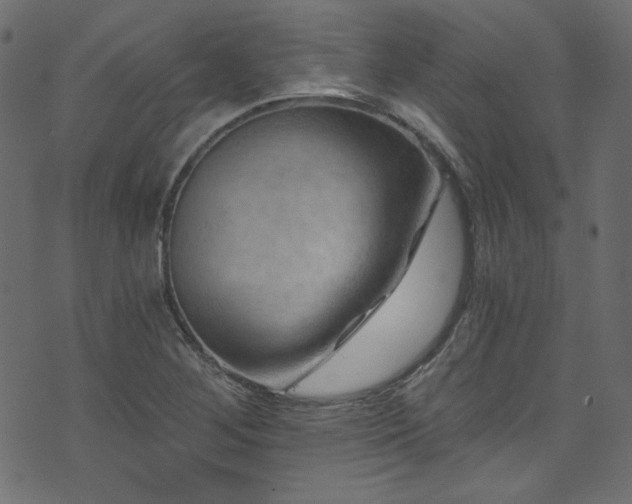 X0000074341268200608251342