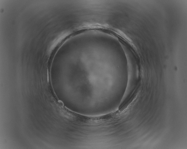 X0000074341269200608251342