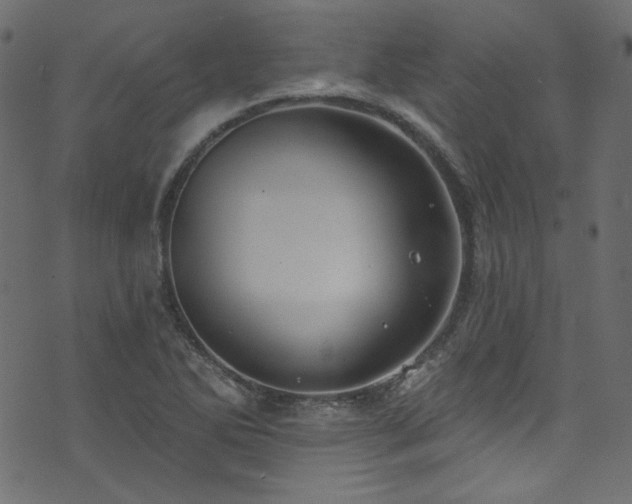 X0000074341270200608251342