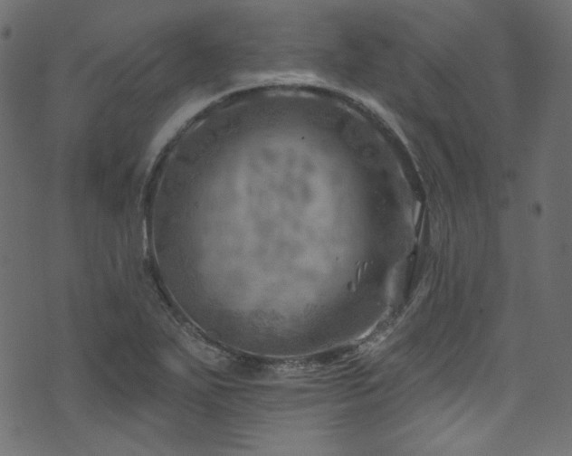 X0000074341271200608251342