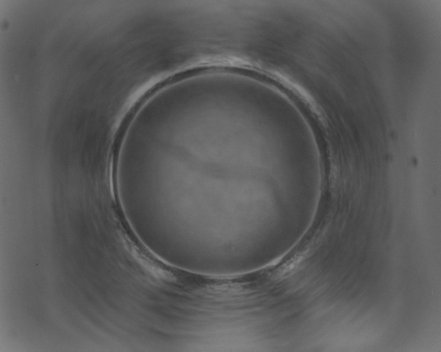 X0000074341272200608251342