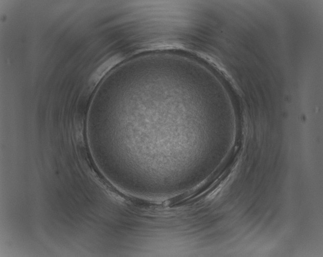 X0000074341273200608251342