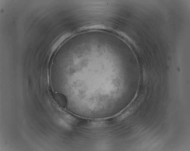 X0000074341274200608251342