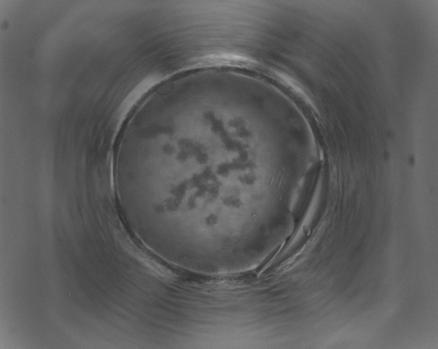 X0000074341275200608251342