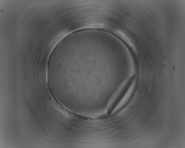 X0000074341276200608251342