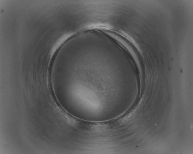 X0000074341277200608251342