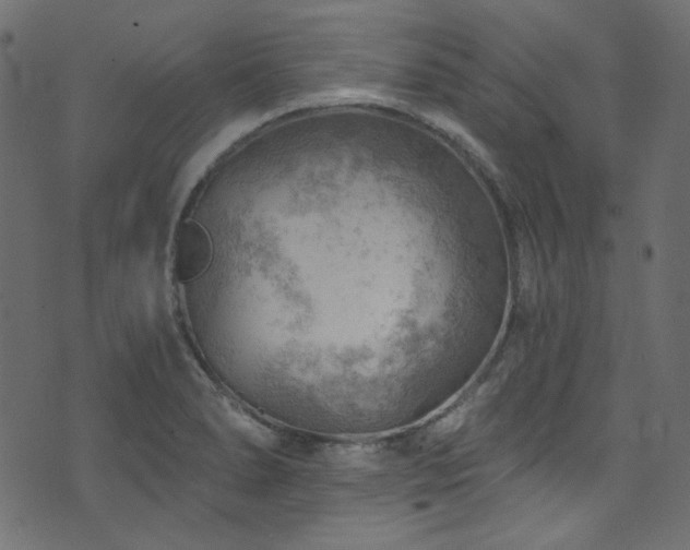 X0000074341278200608251342