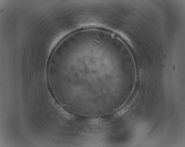 X0000074341279200608251342