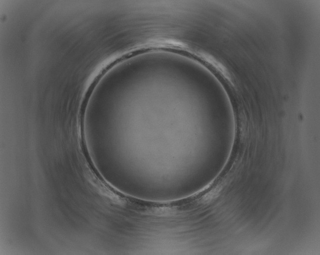 X0000074341280200608251342