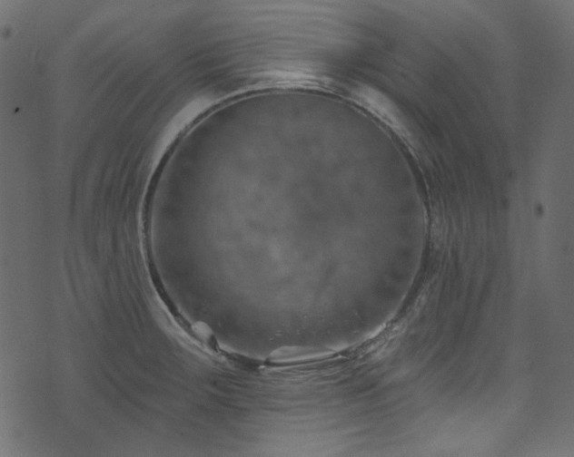 X0000074341283200608251342