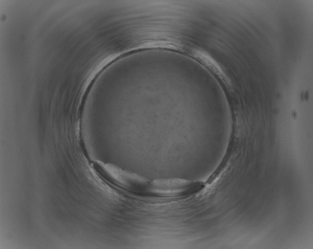 X0000074341284200608251342