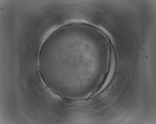 X0000074341287200608251341