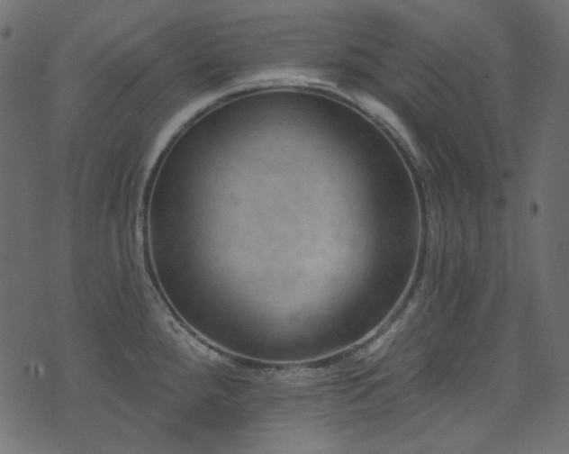 X0000074341288200608251341