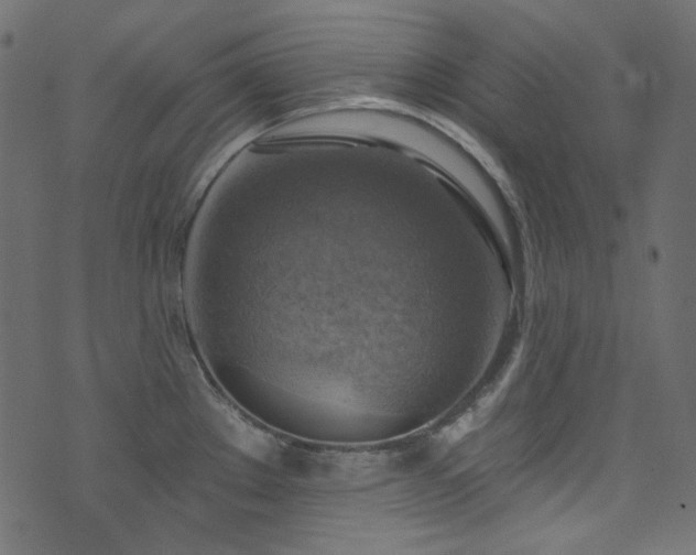 X0000074341289200608251341