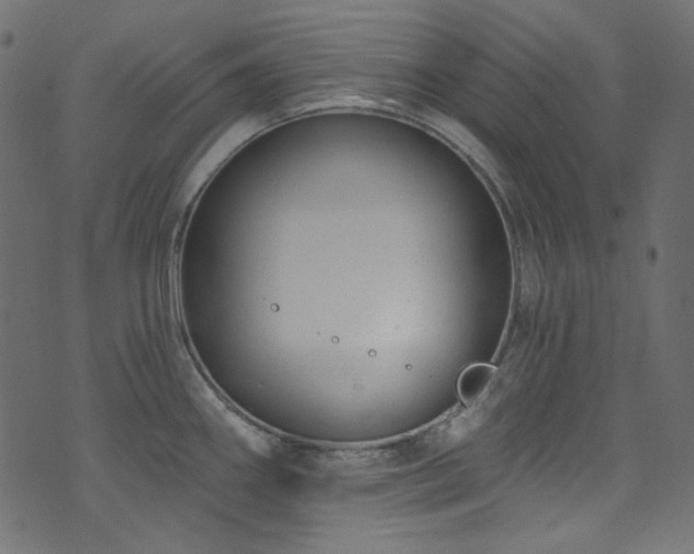 X0000074341290200608251341