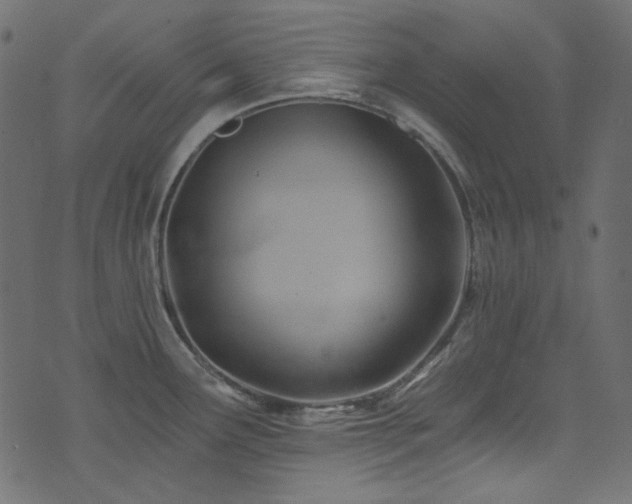 X0000074341291200608251341